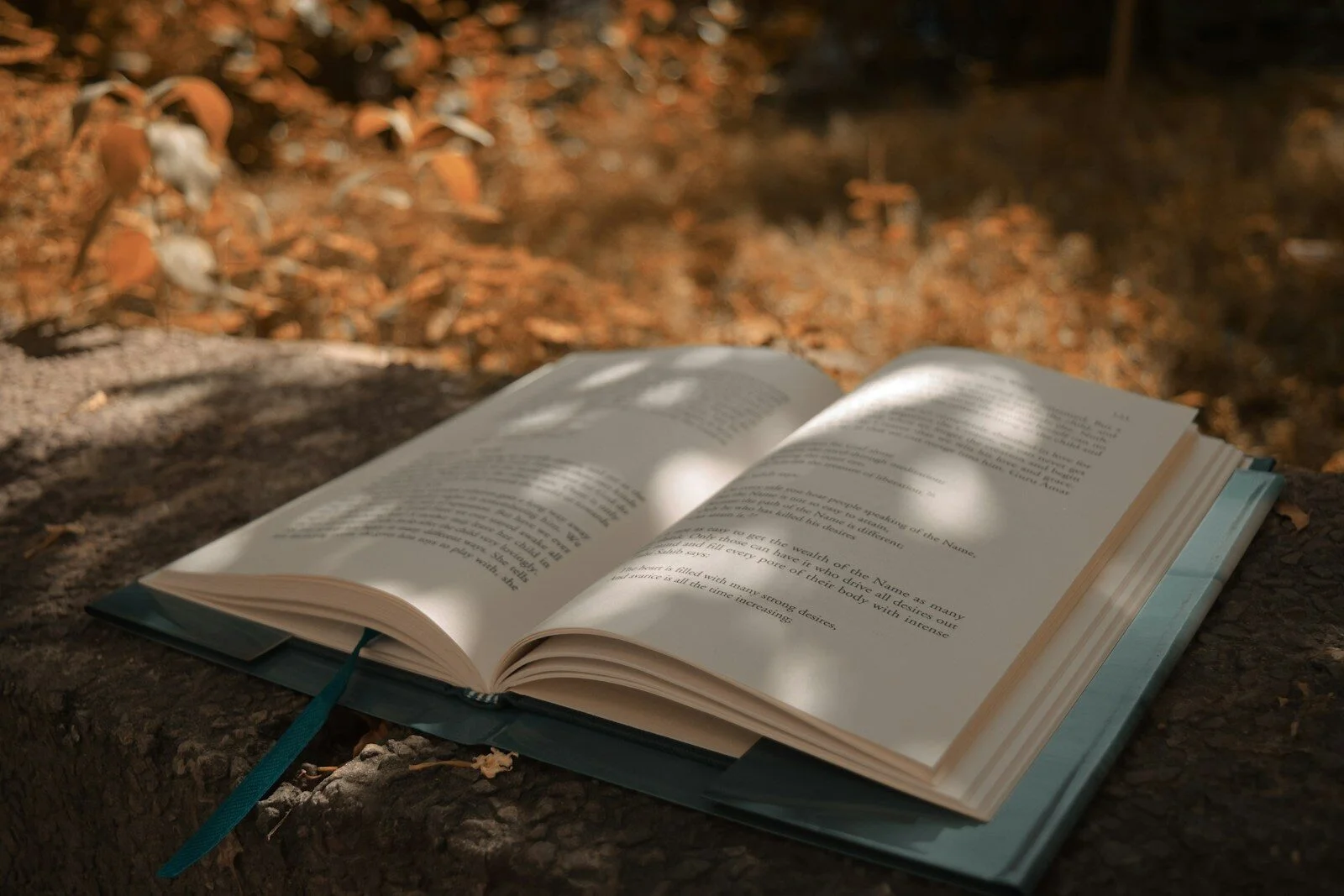 bible page on gray concrete surface