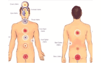 Componente Psicoterapia Pránica